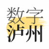 数字泸州app